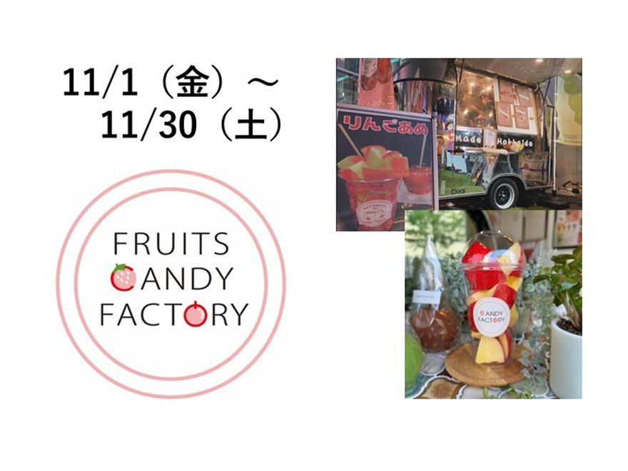 2024年11月 ノルベサキッチンカースケジュール｜観覧車&商業施設