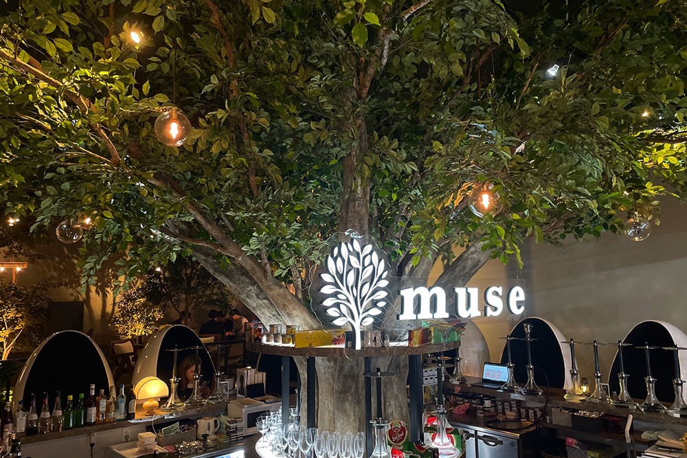 muse 札幌店